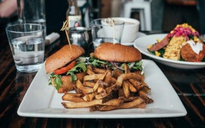 5 Key Takeaways From The Plant Based Treaty Playbook For Universities And Colleges