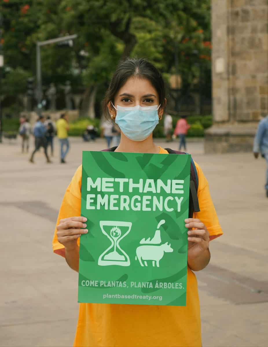 methane