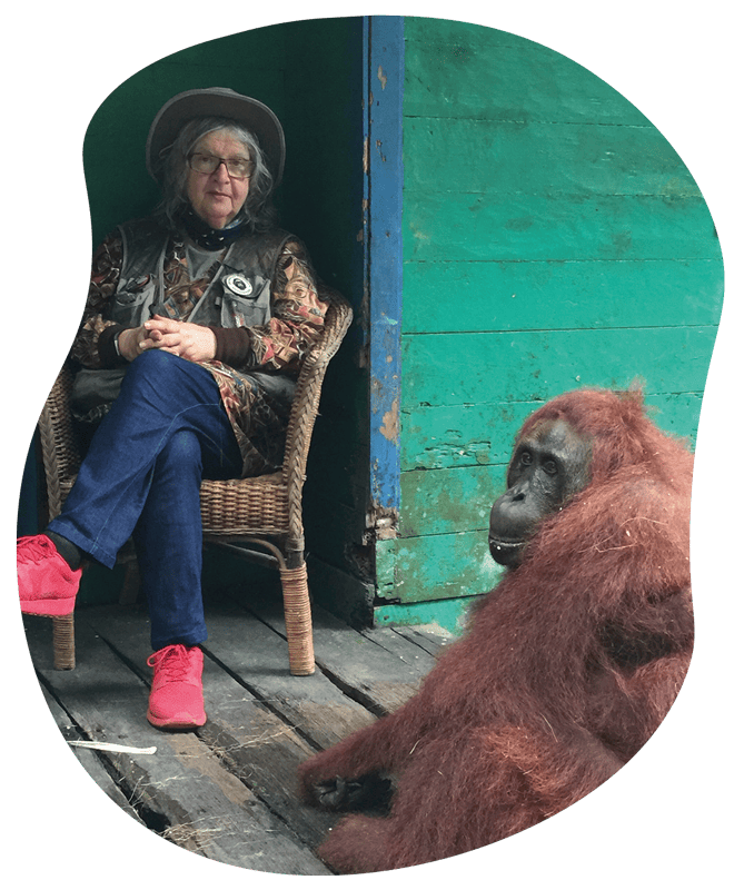 DrBirute2